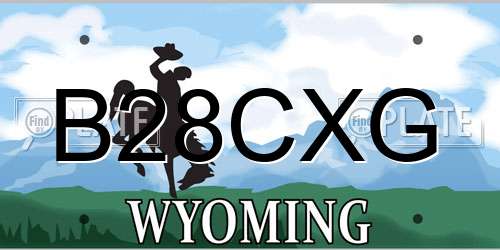 B28CXG Wyoming License Plate