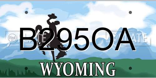 B295OA Wyoming License Plate