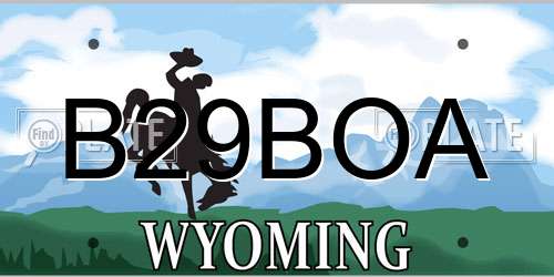 B29BOA Wyoming License Plate