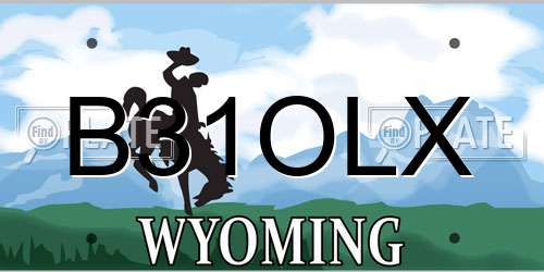 B31OLX Wyoming License Plate