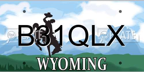 B31QLX Wyoming License Plate