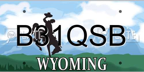 B31QSB Wyoming License Plate