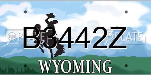 B3442Z Wyoming License Plate
