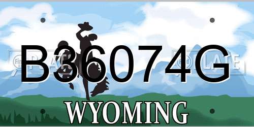 B36074G Wyoming License Plate