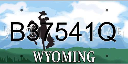 B37541Q Wyoming License Plate