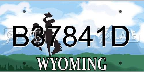 B37841D Wyoming License Plate