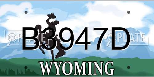 B3947D Wyoming License Plate