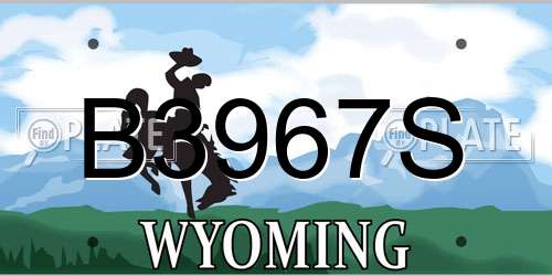 B3967S Wyoming License Plate