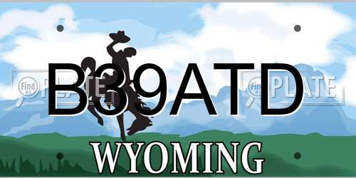 B39ATD Wyoming License Plate