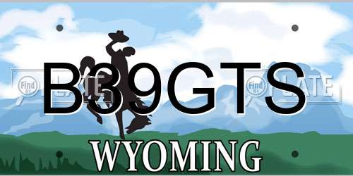 B39GTS Wyoming License Plate