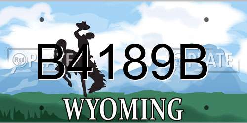 B4189B Wyoming License Plate