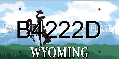 B4222D Wyoming License Plate