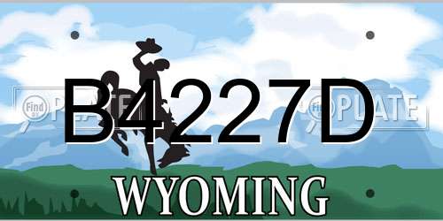 B4227D Wyoming License Plate
