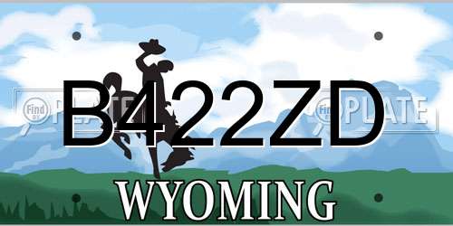 B422ZD Wyoming License Plate