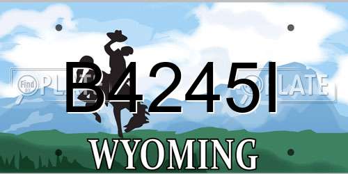 B4245I Wyoming License Plate