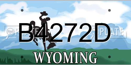 B4272D Wyoming License Plate
