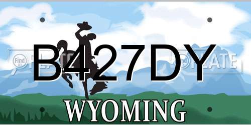 B427DY Wyoming License Plate