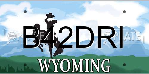 B42DRI Wyoming License Plate