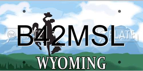 B42MSL Wyoming License Plate