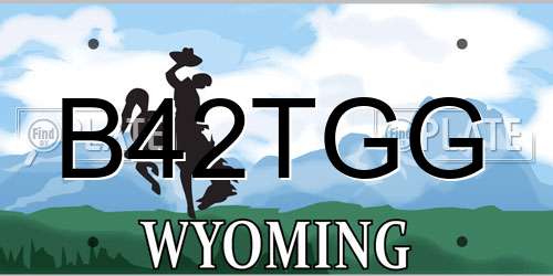 B42TGG Wyoming License Plate