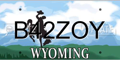 B42ZOY Wyoming License Plate
