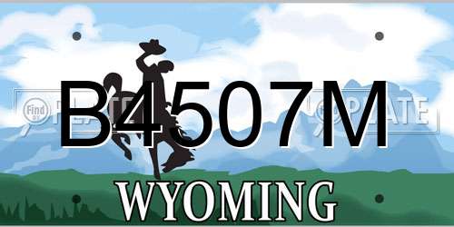 B4507M Wyoming License Plate