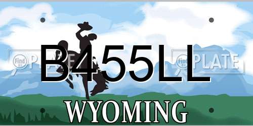 B455LL Wyoming License Plate