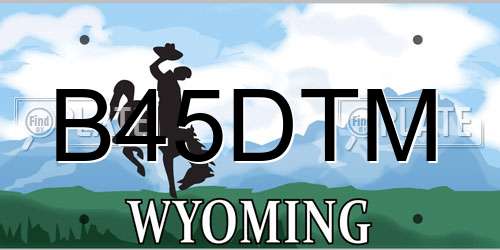 B45DTM Wyoming License Plate
