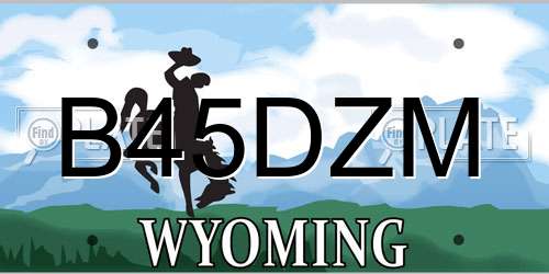 B45DZM Wyoming License Plate