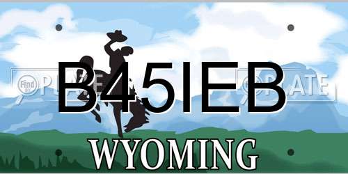 B45IEB Wyoming License Plate