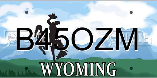 B45OZM Wyoming License Plate