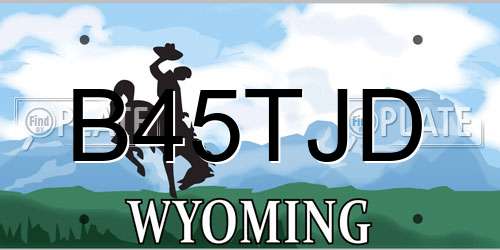 B45TJD Wyoming License Plate