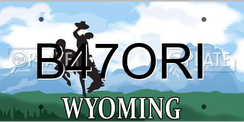 B47ORI Wyoming License Plate