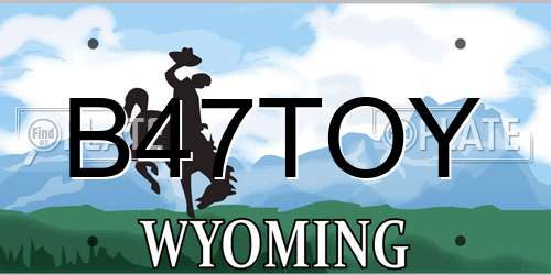 B47TOY Wyoming License Plate
