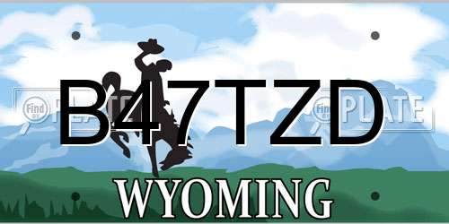 B47TZD Wyoming License Plate