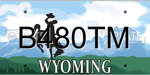 B480TM Wyoming License Plate
