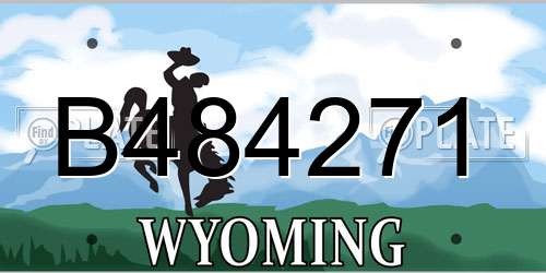 B484271 Wyoming License Plate