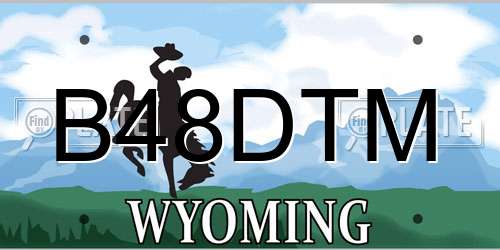 B48DTM Wyoming License Plate