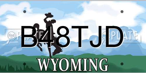 B48TJD Wyoming License Plate