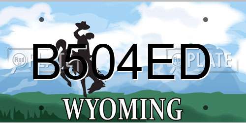 B504ED Wyoming License Plate
