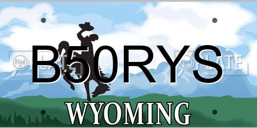B50RYS Wyoming License Plate