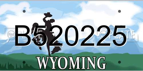 B520225 Wyoming License Plate