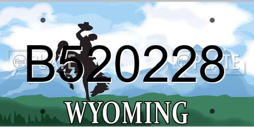 B520228 Wyoming License Plate