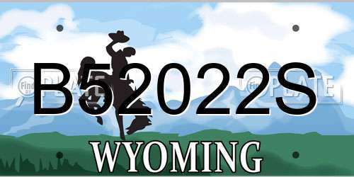 B52022S Wyoming License Plate