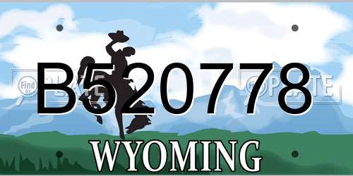 B520778 Wyoming License Plate