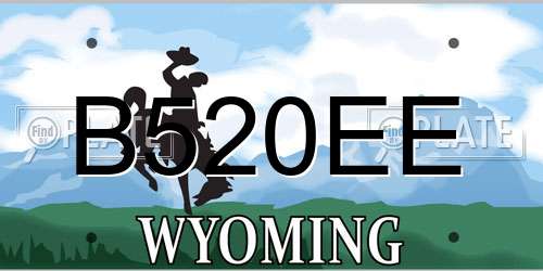 B520EE Wyoming License Plate