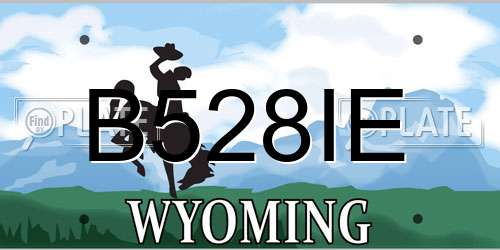 B528IE Wyoming License Plate