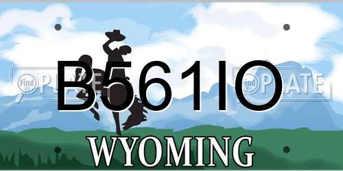 B561IO Wyoming License Plate