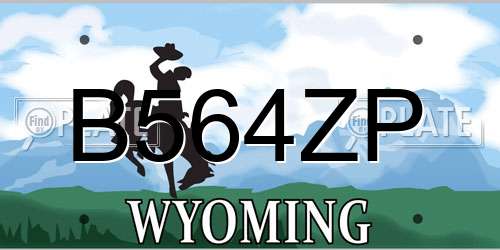 B564ZP Wyoming License Plate