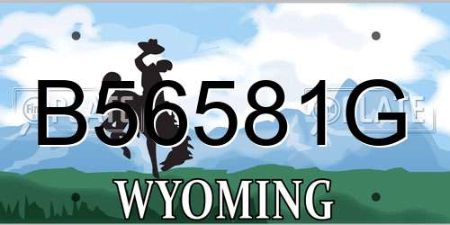 B56581G Wyoming License Plate
